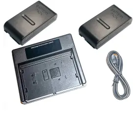 Ccd-550 Centenex Electronics As-chnimh 6v Usb 2-np55 Combo Battery Charger 2 Batteries For Sony Np-55 Np-33 Np-68 Np-77