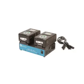Gp-2lsj Core Swx 2-position Simultaneous V-type Battery Charger With Batteries
