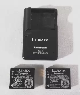 Cga-s007a Panasonic 073096400917 Genuine Lumix Battery Lot Of 2 W Charger De-a45