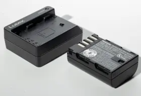 Dmw-bct13g Panasonic Dmw-bct13 Genuine Dmw-blf19 Battery Usb Charger For Lumix Dmc-gh5