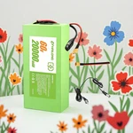 Green Lithium Battery 60V 20AH. Fixed Price $268.99.