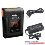 Kastar Battery Dtap Charger For Neewer BP-V95, Came-tv MINI-99, Andycine A-VM-95. Fixed Price $34.99.