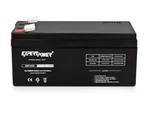 Expert Power 12V 3.3AH RBC35 WP3-12 Replacement Battery For Apc. Fixed Price $22.99.